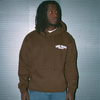 Company Hoodie - Brown